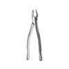 Apical Forceps - #Af150 - Upper