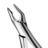Apical Forceps - #Af150 - Upper