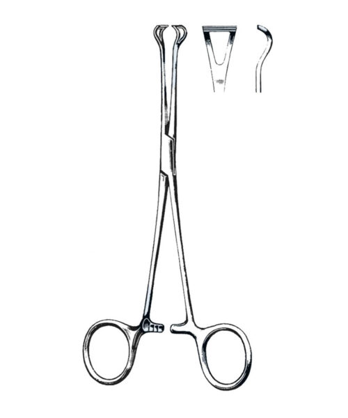 Babcook Tissue Forceps