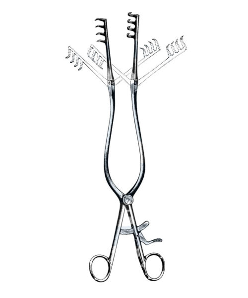 Beckmann Thyroid Retractor W/ Holtite Ratchet 11 3/4" (30 cm)