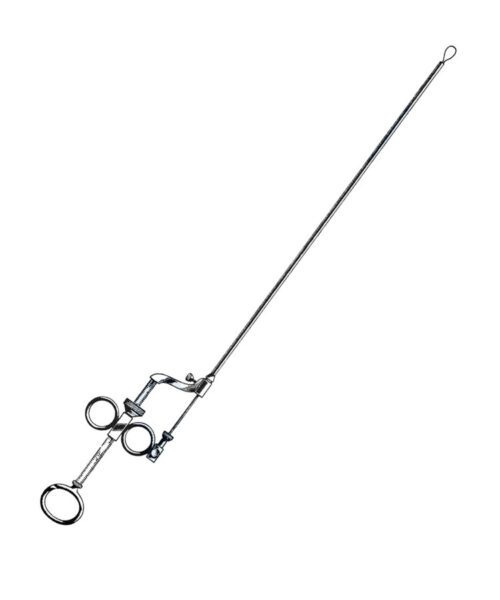 Douglas-Norwood Rectal Snare 12" Shaft (31 cm)