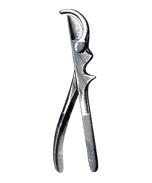 Gluck Rib Shears, Curved, 8 34 (22 cm)
