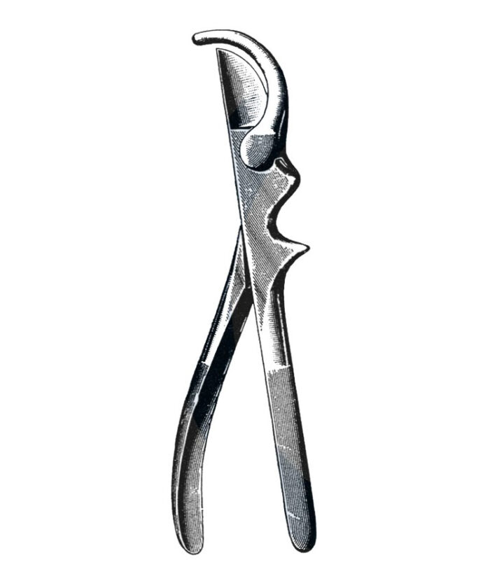 Gluck Rib Shears, Curved, 8 34 (22 cm)