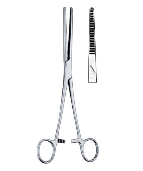 Kelly Forceps Straight