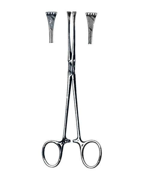 Lockwood Allis Tissue Forceps 16cm