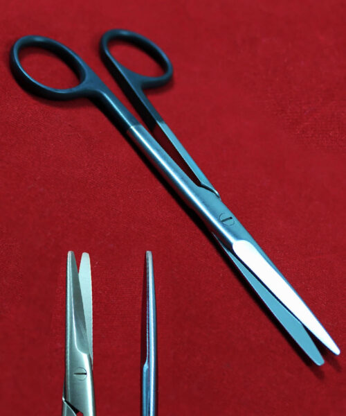 Mayo Stille Dissecting Scissor Straight 5.5" Black Rings