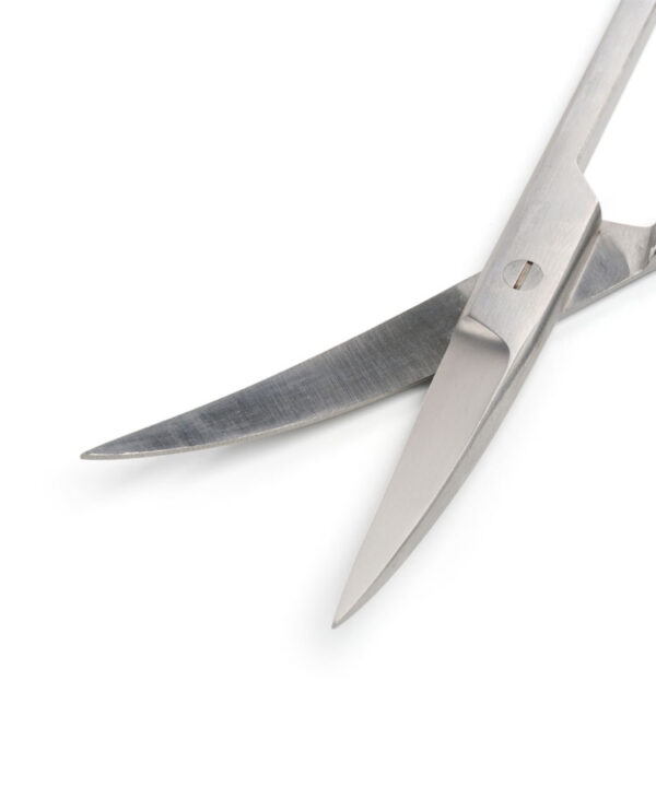 Operating Scissors, Curved Sharp