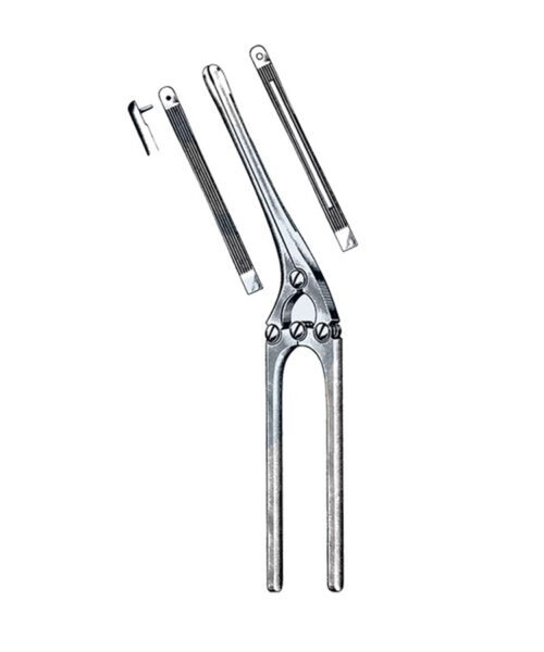 Payr Pylorus Clamp