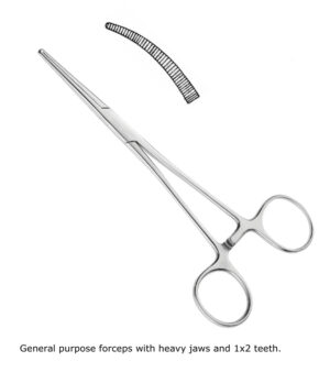 Rochester Ochsner Kocher Forceps