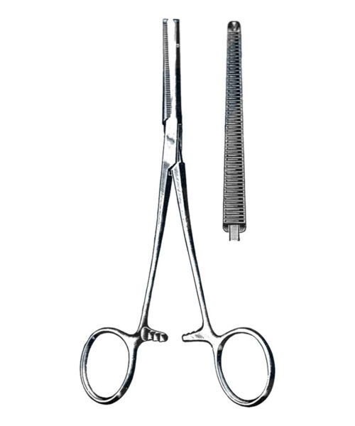 Rochester-Ochsner Thoracic Forceps, 1 x 2 Teeth, Straight 10 (25 cm)