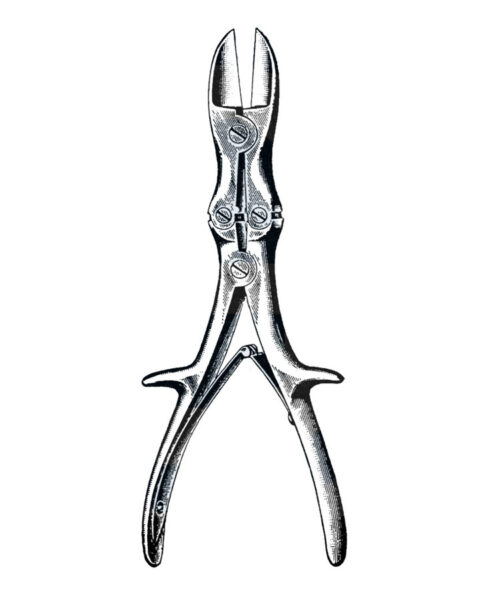 Stille-Liston Bone Cutting Forceps, Straight Jaws 10 12 (27 cm)