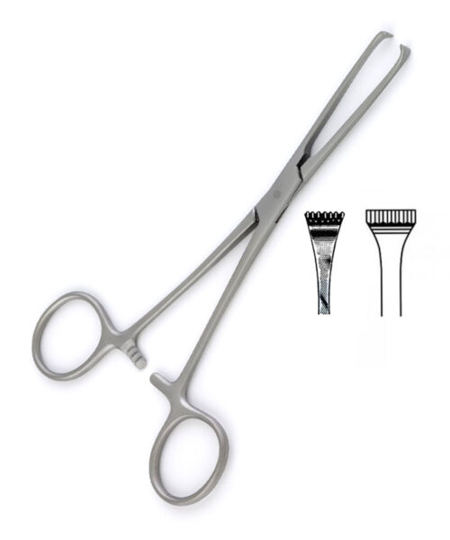 Thoms-Allis Intestinal Forceps 6x7 Teeth 8 (20 cm)