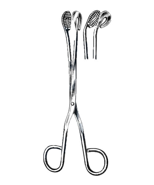 Utility and Sterilizer Forceps, Curved